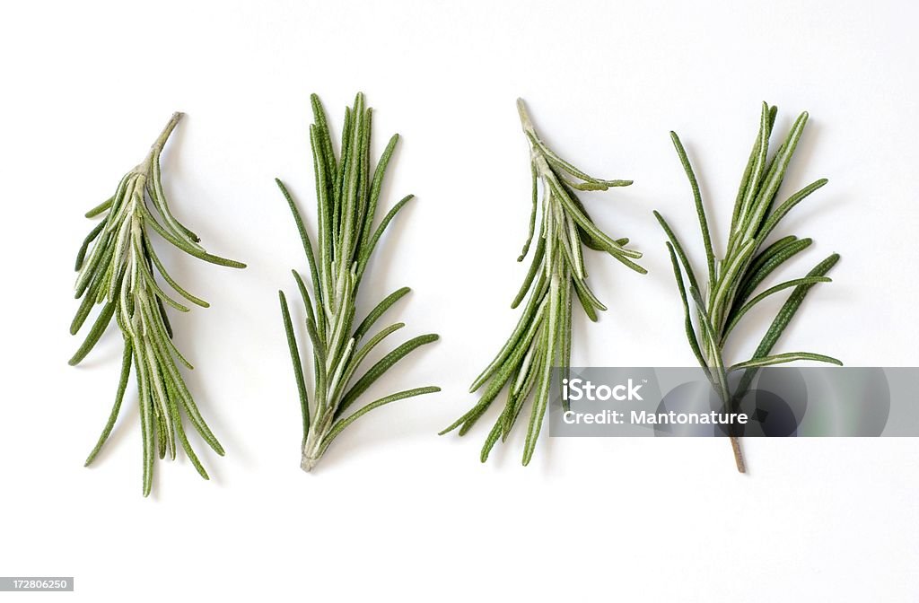 신선한 로즈마리 (Rosemary, Rosmarinus officinalis) 인명별 - 로열티 프리 로즈마리 스톡 사진