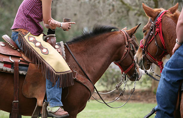 istock on the way to rodeo 172806373