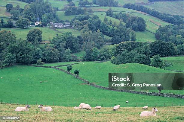 Troutbeck ヴァレイ - イギリス 湖水地方のストックフォトや画像を多数ご用意 - イギリス 湖水地方, トラウトベック谷, ヒツジ