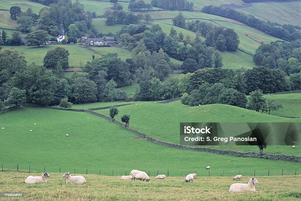 Troutbeck Dolina - Zbiór zdjęć royalty-free (Lake District)