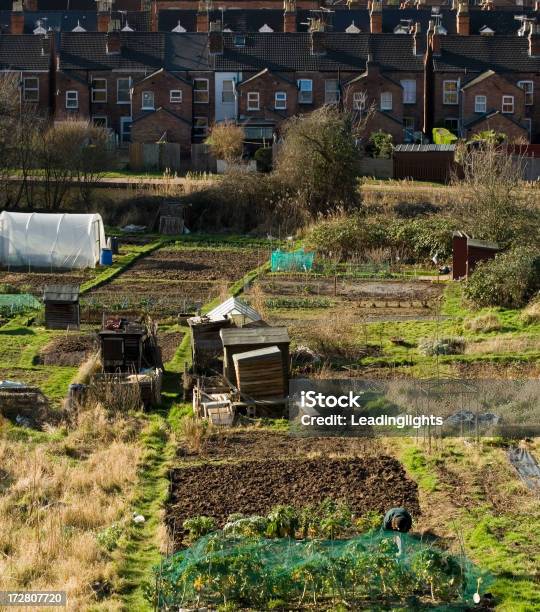 Foto de Loteamentos Worcester e mais fotos de stock de Abrigo de Jardim - Abrigo de Jardim, Arbusto, Banco - Assento