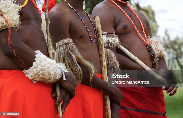 Традиционные Зулус Мужчин — стоковые фотографии и другие картинки Аборигенная культура - Аборигенная культура, Африка, Африканская этническая группа