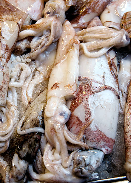istock Squid at Seafood Market Venice Italy 172808554