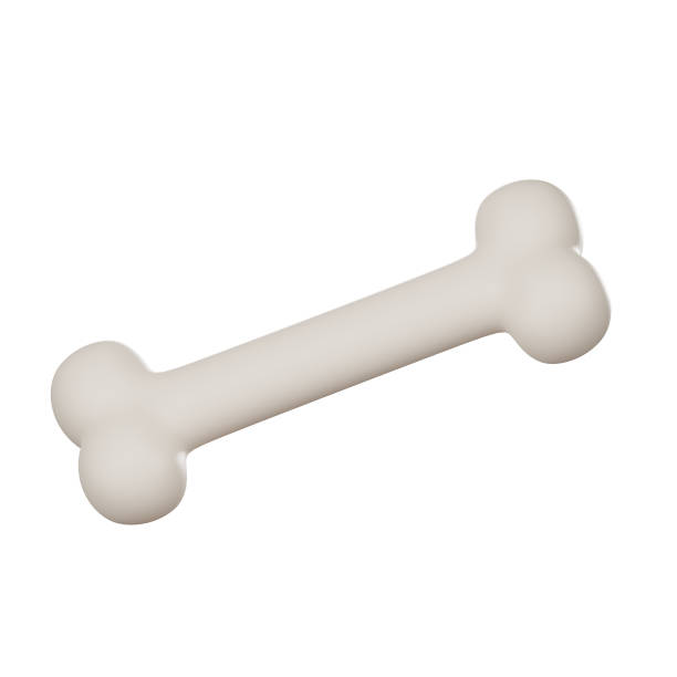 istock Cartoon bone isolated on white background 1728086486