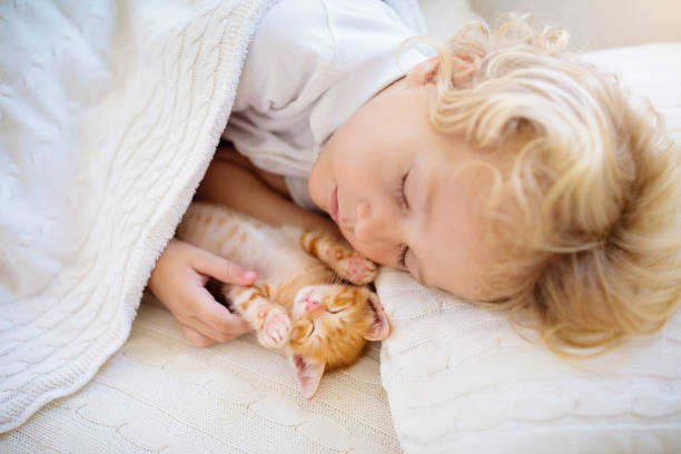 istock Baby boy sleeping with kitten. Child and cat. 1728087885