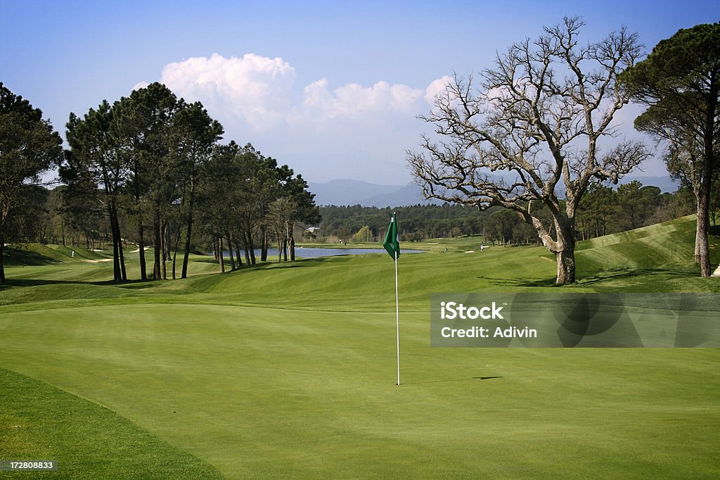Nice hole of a golf course Green and hole of a golf course on a sunny day Backgrounds Stock Photo