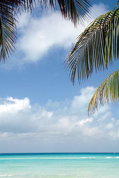           Tropical Caribbean Beach With Room For text                    