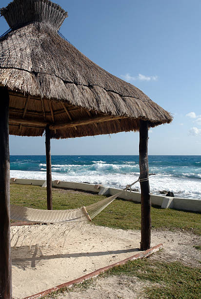 istock Hammock over looking Caribbean Sea 172809257