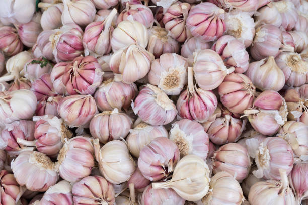 istock garlic bulbs at market 1728117935