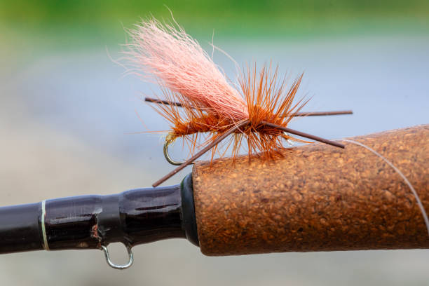 120+ Trout Fishing Flies Stock Photos, Pictures & Royalty-Free Images -  iStock