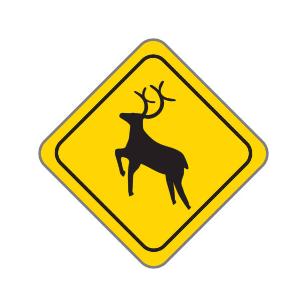 istock Wild Animals. Traffic Road Sign. Isolated on White. Vector Illustration 1728143942