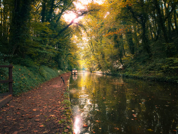 This picture was taken by my mobile phone while walking around Brewood, Wolverhampton, in England. The autumnal colours are amazing on the trees