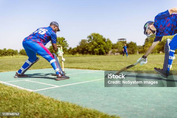 Cricket Wicket Keeper Stock Photo - Download Image Now - Sport of Cricket, Match - Sport, Vitality