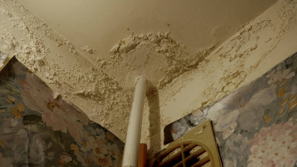 istock Old, shabby wall with peeling paint. 1728208715