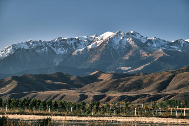 Snowcapped mountain ridge behind fruit garden in autumn
