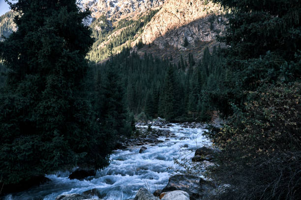 istock Stream is flowing through mountain forest in autumn 1728224662