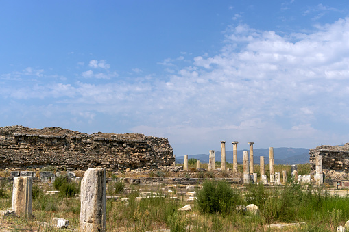 Magnesia Ancient City, Aydın, TURKEY, Hellenistic period.