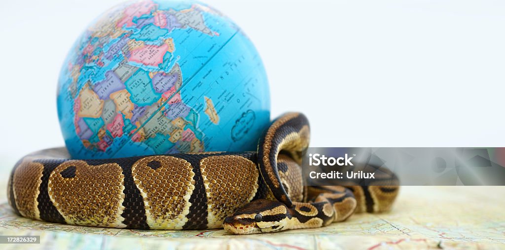 Python's Endangered Status Endangered Python Coiled Around A Globe Over White Stock Photo ...