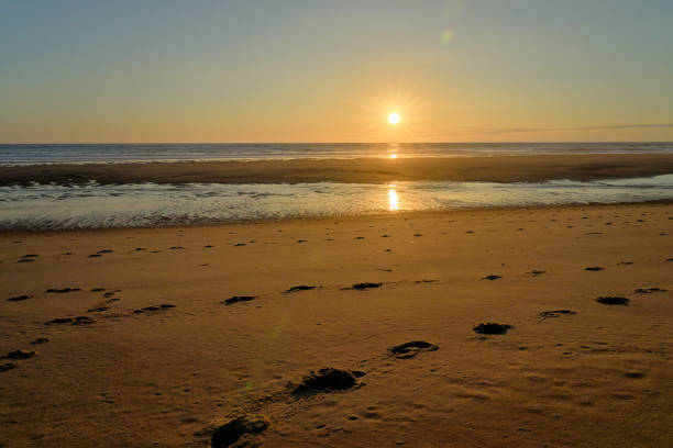 le Grand Crohot Beach, cap ferret, arcachon, france