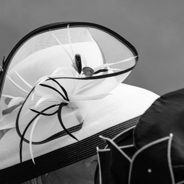 Hats Ladies' Hats kentucky derby stock pictures, royalty-free photos & images