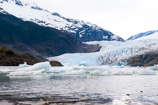 The Mendenhall Glacier and small icebergs, also known as bergy bits and growlers, near Juneau, Alaska