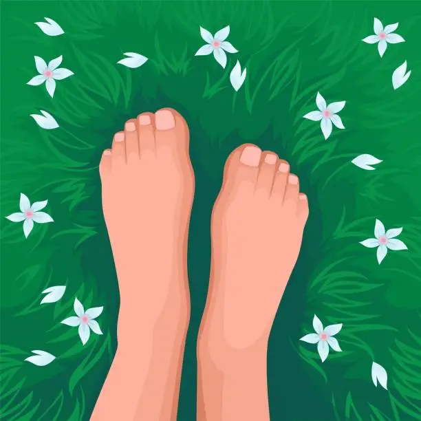 Vector illustration of Bare Legs of Woman on Spring or Summer Lawn, Top View
