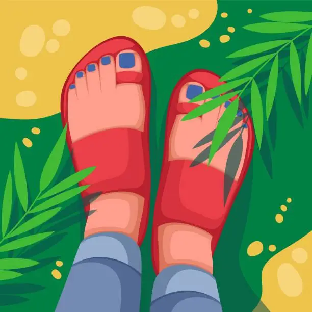 Vector illustration of Top View of Feet in Casual Sandals and Jeans