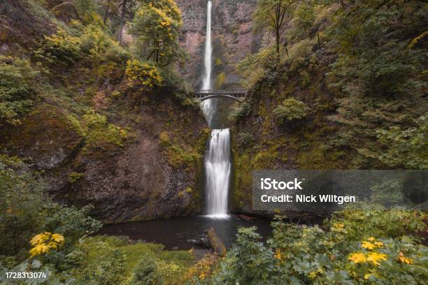 Waterfall In Autumn Forest Stock Photo - Download Image Now - Columbia River Gorge, Autumn, Falling