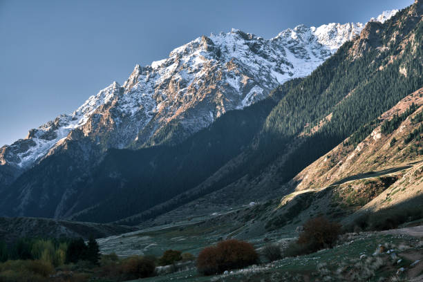 istock Snowcapped mountain behind beautiful autumn forest 1728313119