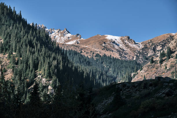 istock Snowcapped mountain behind beautiful autumn forest 1728314247