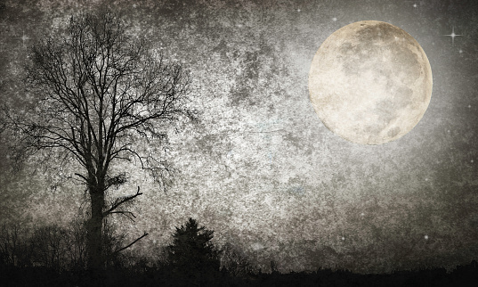 Spooky Night Sky with Full Moon and Tree Silhouette - Atmospheric Mood; Textured Effect. Elements of this image are furnished by NASA. - Source:  Supermoon - 201408100002HQ_orig URL: https://www.nasa.gov/sites/default/files/201408100002hq.jpg