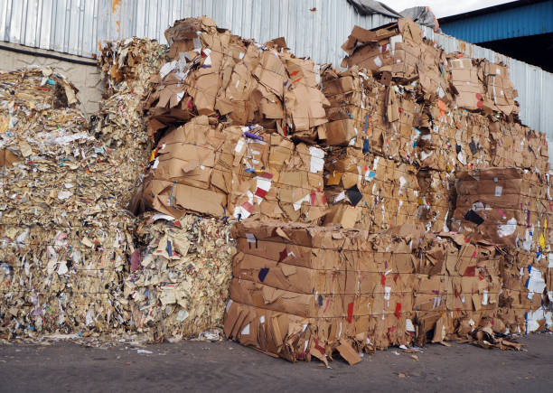 istock Waste newapaper and cardboard 1728335506