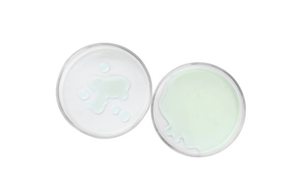 istock Petri dishes with different liquids on white background, top view 1728336106