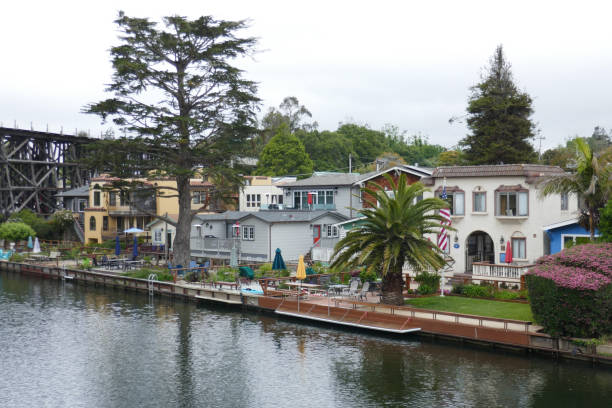 istock Capitola and his historic cars 1728337297