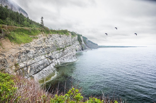 The magnificent landscapes of the Forillon National Park in the Gaspésie region of Quebec. The park includes forests, a sea coast, salt marshes, dunes, cliffs, a beach and the northern end of the Quebec Appalachians.