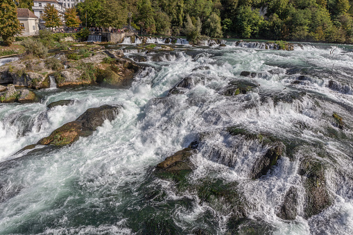 The Rhine Falls near Schaffhausen in Switzerland