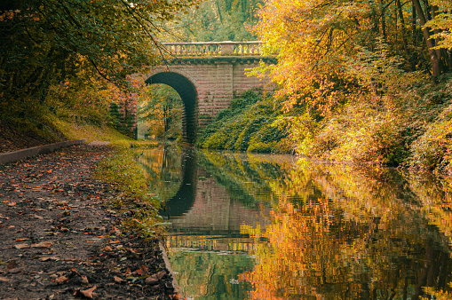 This picture was taken by my camera nihon d5600 while walking around Brewood, Wolverhampton, in England. The autumnal colours are amazing on the trees and the reflection on the water.