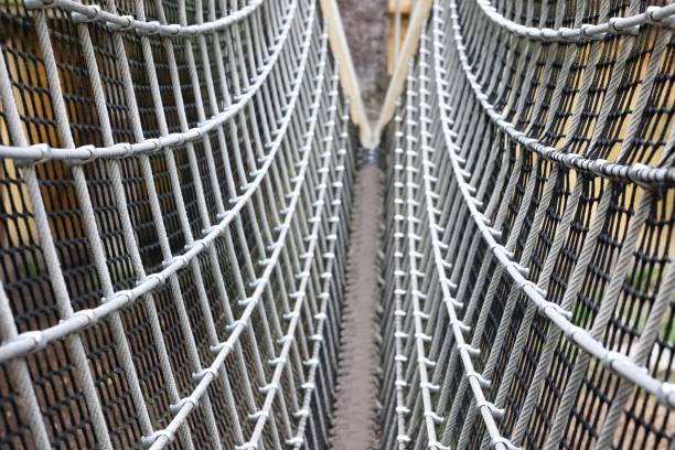 istock Rope net attached to tree in zoo, closeup 1728358398