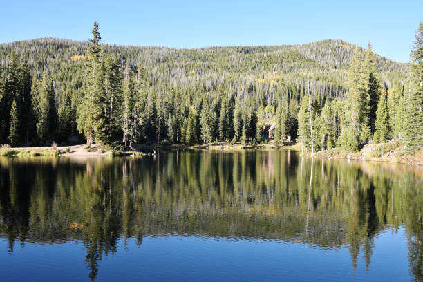 istock Lake in the Mountain Woods 1728371572