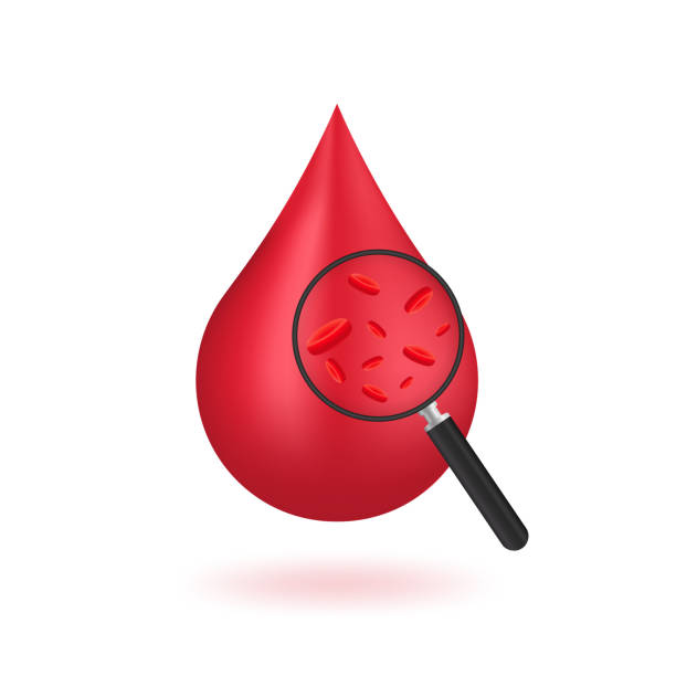 ilustrações de stock, clip art, desenhos animados e ícones de red shiny blood drop isolated on white background. hematology concept with red blood cells in a drop of blood and a magnifying glass. donation, dna test, disease. blood test. vector illustration - blood cell anemia cell structure red blood cell