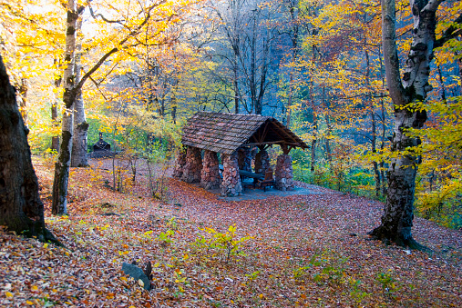 Dilijan national park in autumn