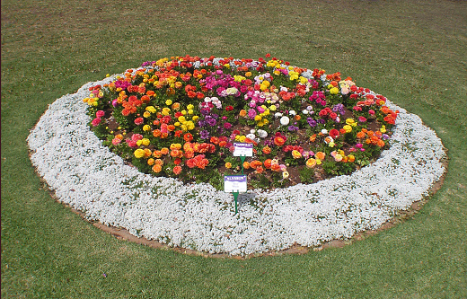 Circular flower bed in Toowoomba, Queensland, Australia
