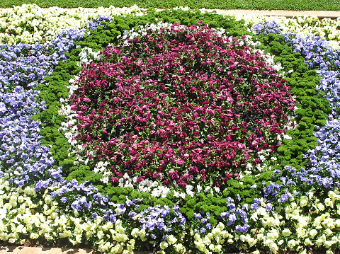 Circular flower bed in Toowoomba, Queensland, Australia
