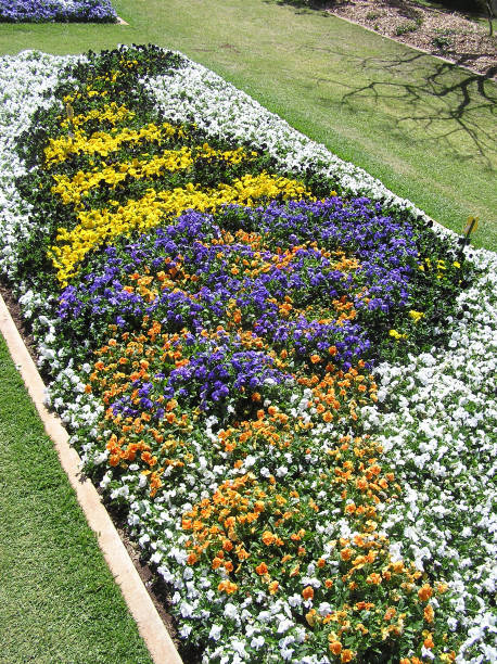 horn of plenty