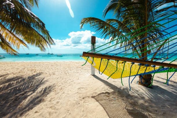 Hammock on a Tropical Island With Beautiful Beach. Summer Holiday and Vacation Concept.