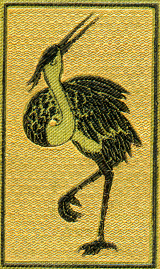 Vintage illustration from 1883 of a Black Heron against a gold background.