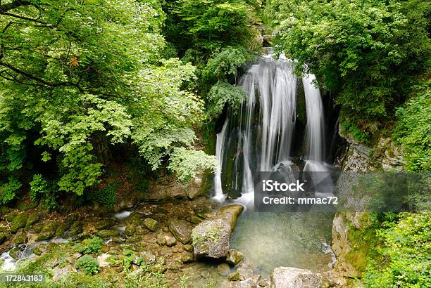 Cascata - Fotografias de stock e mais imagens de Chartreuse - Chartreuse, Ao Ar Livre, Beleza natural