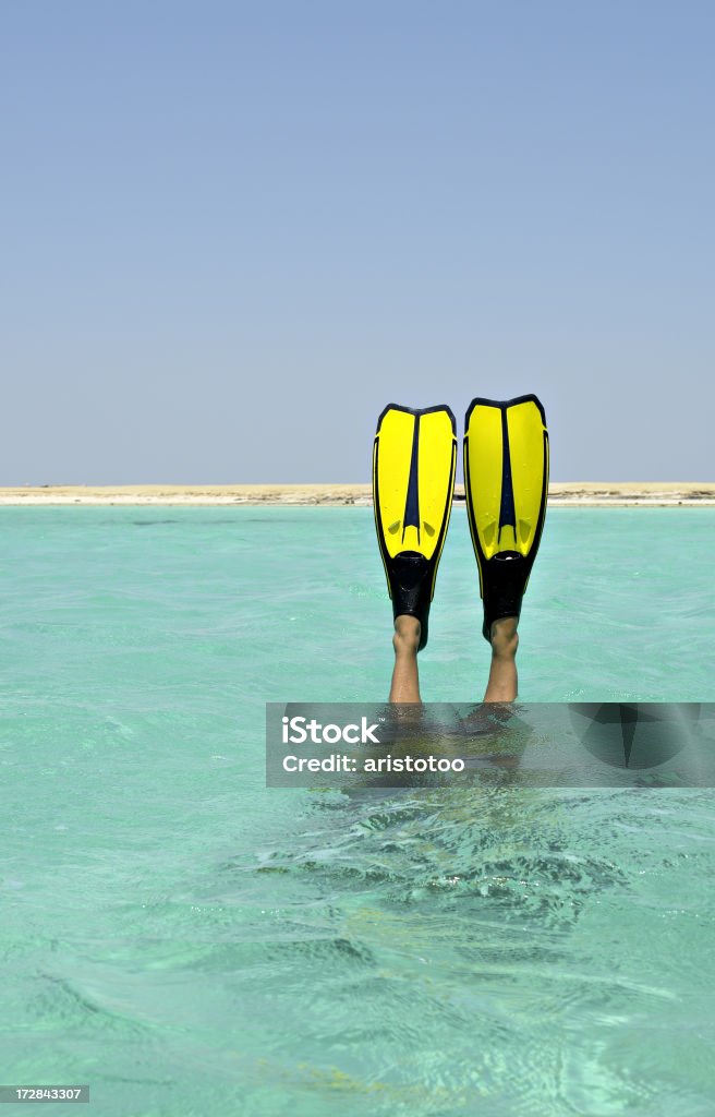 La émbolo - Foto de stock de Aleta - Equipo de buceo libre de derechos