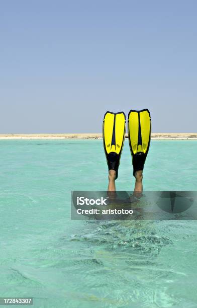 La Émbolo Foto de stock y más banco de imágenes de Aleta - Equipo de buceo - Aleta - Equipo de buceo, Lanzarse al agua, Submarinismo