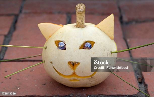 Gatto Halloween Jack Olantern - Fotografie stock e altre immagini di Gatto domestico - Gatto domestico, Lavoro d'intaglio, Zucca